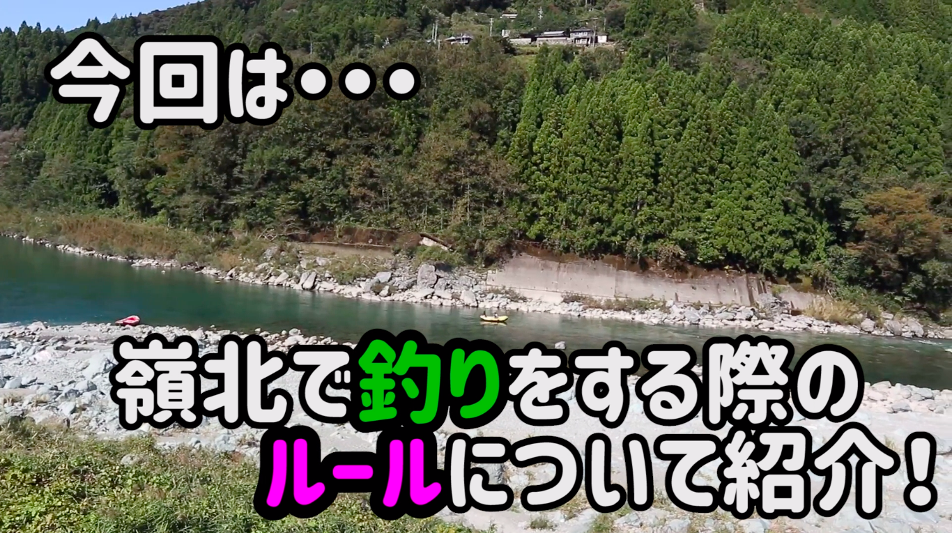 嶺北で魚釣りを楽しもう 遊漁券などのルールを紹介するよ れいほくtv